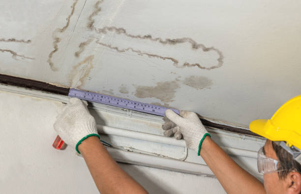 Reliable Sewage Cleanup contractor in Raleigh, NC by Water Damage Irwin